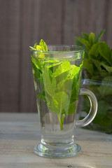 Summer fresh mint tea. Glass cup of green tea with mint leaves wooden background. Natural daylight.