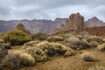 View of the landscape in Teide National Park