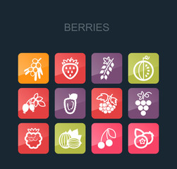 Fresh Berries icons set