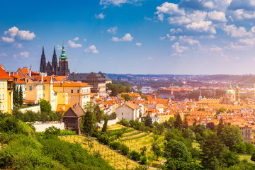 Fototapeta na wymiar Prague Castle and Lesser Town panorama. View from Petrin Hill. Prague, Czech Republic. Spring Prague panorama from Prague Hill with Prague Castle, Vltava river and historical architecture. Czechia.