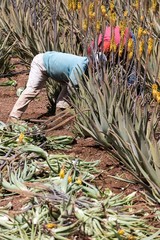 Spanien - Gran Canaria