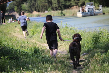 enfant qui marche avec un chien 