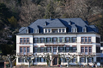 großes Haus in heidelberg Altstadt