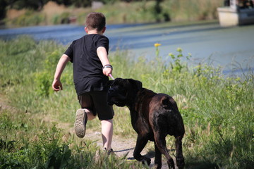 enfant et son chien