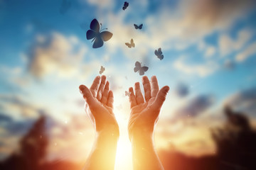 Hands close up on the background of a beautiful sunset, a flock of butterflies flies, enjoying nature. The concept of hope, faith, religion, a symbol of hope and freedom.