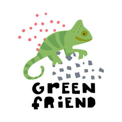 Africa Animals Vector