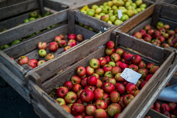 Local produce at the autumn farmers market in the city. Fresh and organic fruits. Agriculture products. Seasonal harvested. Bio, healthy, vegetarian food.