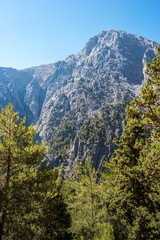 Summer natural views and landscape of the Samaria Gorge. Crete. Greece.