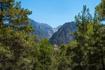 Obraz na płótnie Canvas Summer natural views and landscape of the Samaria Gorge. Crete. Greece.