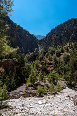 Fototapeta na wymiar Summer natural views and landscape of the Samaria Gorge. Crete. Greece.