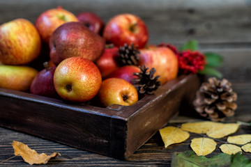 Autumn food background with apples, pine cones, spices, berries and fallen leaves with copy space for text. Autumn food backdrop. Selective focus.
