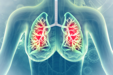 Human lungs on scientific background
