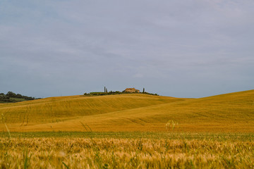 View of beautiful hilly Tuscany. Golden field in the cloudy day light with farm house. Golden autumn, Tuscany. Italy. landscape. Summer, holiday, traveling concept.