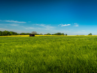 Obraz premium Im Mai