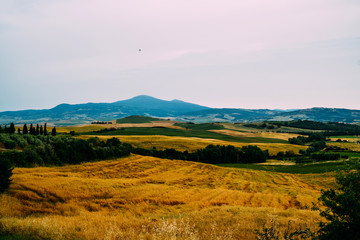 View of a autumn day in the Italian rural landscape. Unique sundown tuscany landscape in fall time. Wave hills, cypresses trees and cloudly sky. Tuscany, Italy, Europe