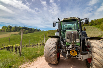 Weinbau mit Traktor