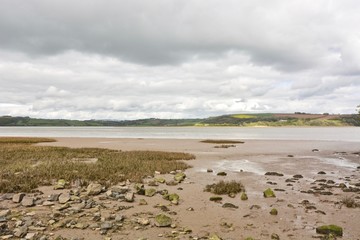 Looking Across the River Taf at Laugharne