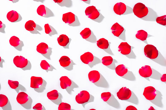 Heart of red rose petals on white background.