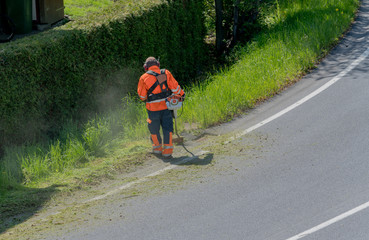 city maintenance worker cutting weed on the road shoulder with a strimmer