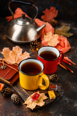 Obraz na płótnie Canvas Enameled cup of hot tea