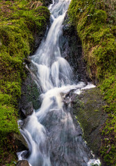 Fototapeta premium Little idyllic forest stream flowing in long exposure shot with green moos at sunny spring day in Finland