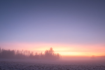 Foggy landsape with vibrant sunset colors and forest at winter evening in Finland
