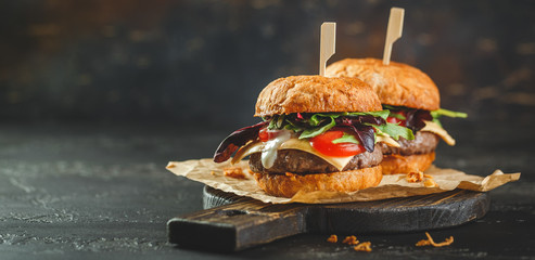 Two homemade burger - obrazy, fototapety, plakaty