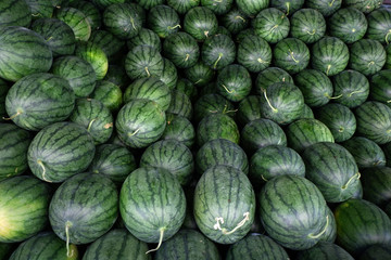 Watermelon fruit in fruits shop.