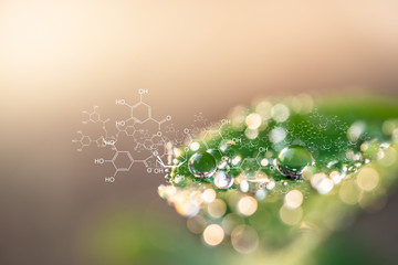 Plants background with biochemistry structure.