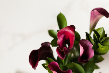 Place of work, flower red color and smart phone black screen and  book  and coffee cup on  white background 