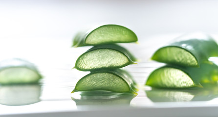 Fresh leaves of Aloe Vera on the white background