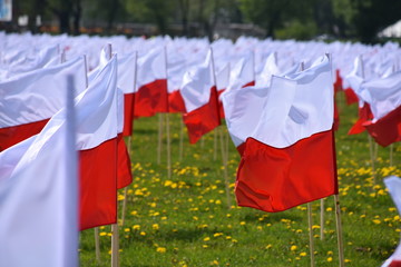 Flaga Polski święto flagi Błonia Krakowskie  - obrazy, fototapety, plakaty