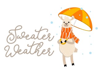 Sweater weather inspirational autumn design with llama holding umbrella and wearing scarf. Cute alpaca illustration with lettering typography. Fall vector illustration or print.