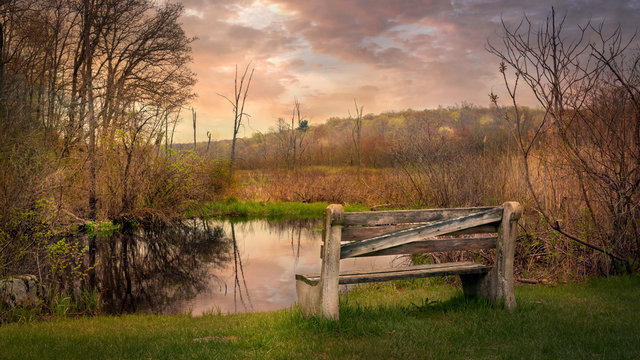 Golden hour image of an old park bench in front of a marshy swamp on an early spring day