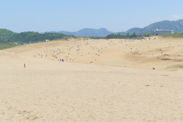 Fototapeta na wymiar 鳥取砂丘の風景