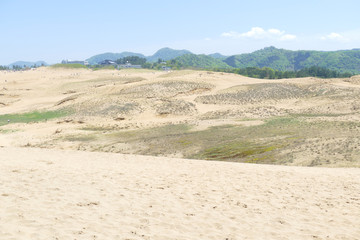 鳥取砂丘の風景