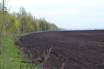 Obraz premium plowed field along the green alley