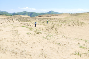 Fototapeta na wymiar 鳥取砂丘の風景