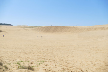 鳥取砂丘の風景