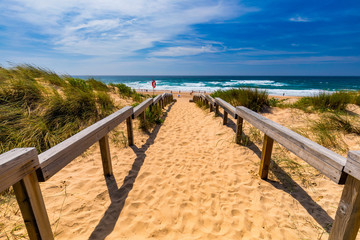 View of the Monte Clerigo beach on the western coastline of Portugal, Algarve. Stairs to beach Praia Monte Clerigo near Aljezur, Costa Vicentina, Portugal, Europe.