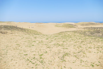 鳥取砂丘の風景