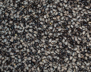 Organic grown black and white lentils filling the frame
