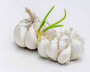Spice Up Your Garden With Garlic