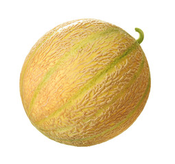 Cantaloupe Melone