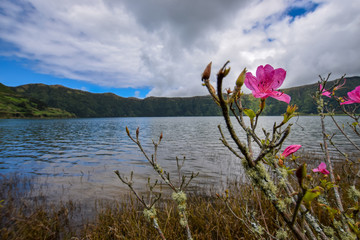 scenery at sao miguel 