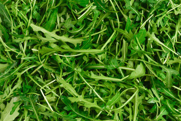 Fresh leaves of arugula as background.