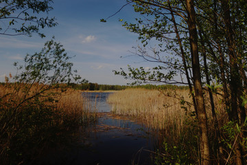 Poleski Park Narodowy