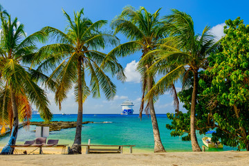 Fototapeta na wymiar Grand Cayman, Cayman Islands, Regal Princess ships moored by George Town