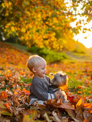 Toddler boy enjoy autumn with dog friend. Small baby toddler on sunny autumn day walk with dog. Warmth and coziness. Happy childhood. Sweet childhood memories. Child play with yorkshire terrier dog