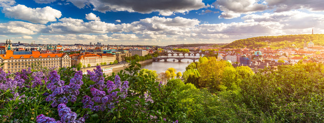 Amazing spring cityscape, Vltava river and old city center with colorful lilac blooming in Letna park, Prague, Czechia. Blooming bush of lilac against Vltava river and Charles bridge, Prague, Czechia.